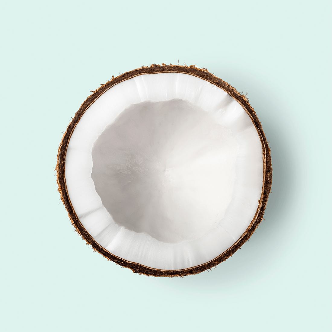 Nourishing Body Cream with Organic Cacao Butter & Coconut Oil